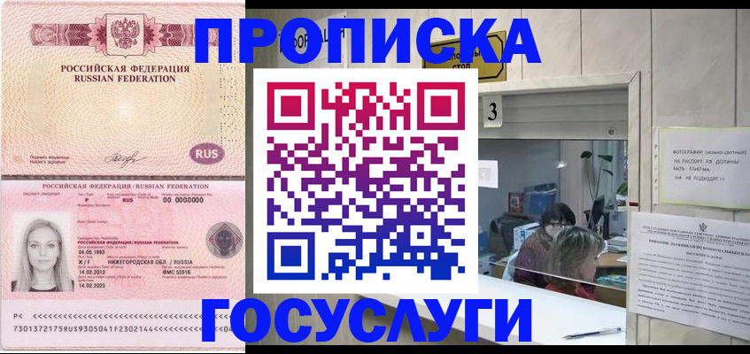 прописка паспорт в Курской области